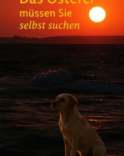 Fewo Ostseele - Tosi