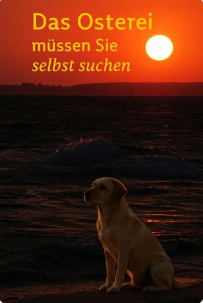 Ostseele - Tosi Apartment Timmendorfer Strand